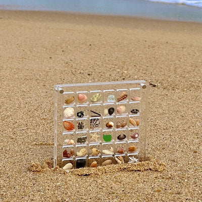 MuschelSammeln™ - Acryl-Organisator
