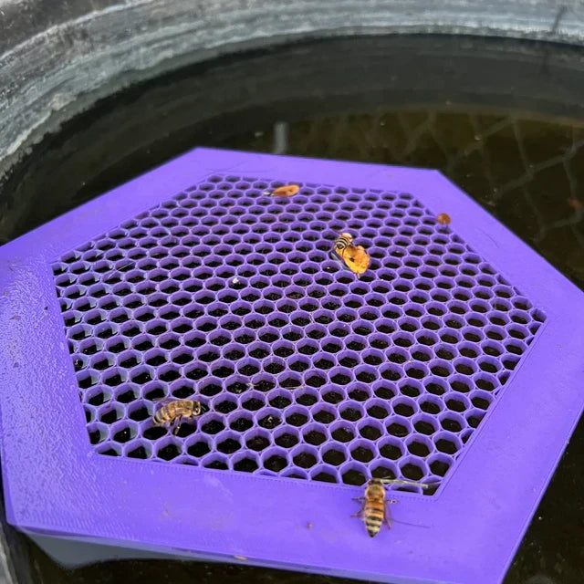 BeeBuoys™  - Schwimmende Bieneninsel [Letzter Tag Rabatt]